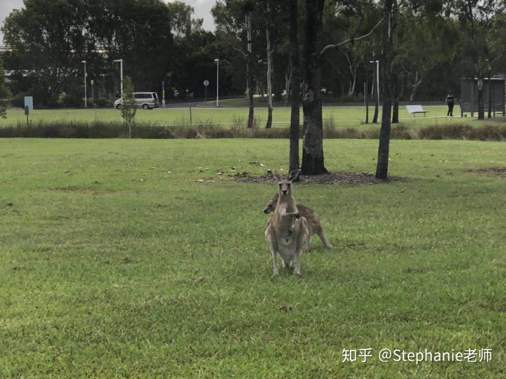 长沙魔力教育咨询有限公司,海外留学机构,澳大利亚留学,留学咨询,澳洲学生签证申请,出国留学,墨尔本学校